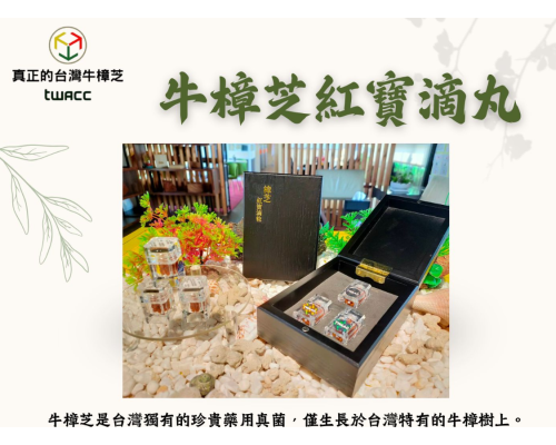 台灣牛樟芝TWAC