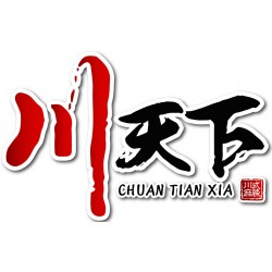 Chain Spicy Hot Pot Restaurant Integrated Marketing and Design Planning Project